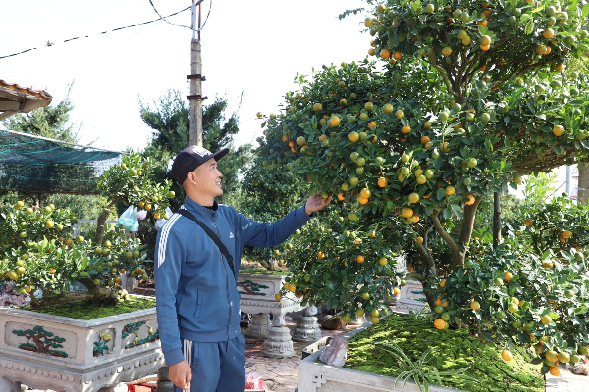 ruc ro sac xuan lang vi khe 800 nam tuoi quat triu qua, dao tham nu doi tet ve hinh anh 8