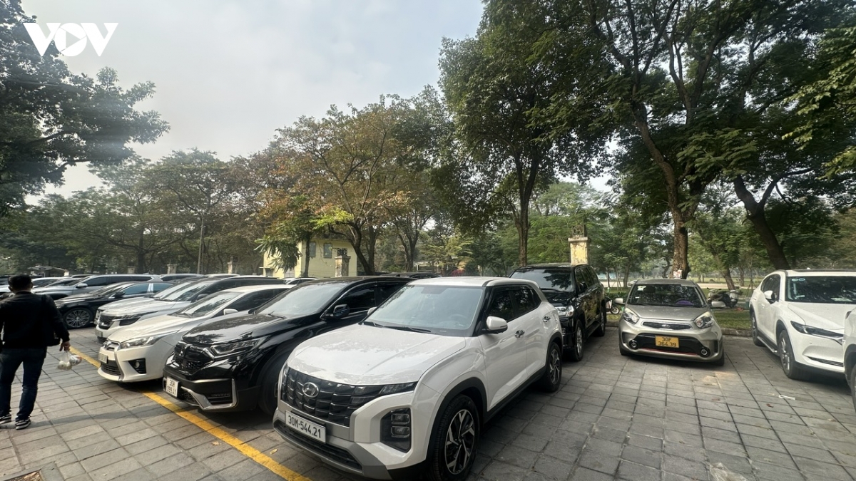 hoan tat ha rao toan bo cong vien thong nhat hinh anh 11