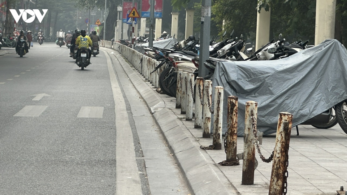 hoan tat ha rao toan bo cong vien thong nhat hinh anh 9