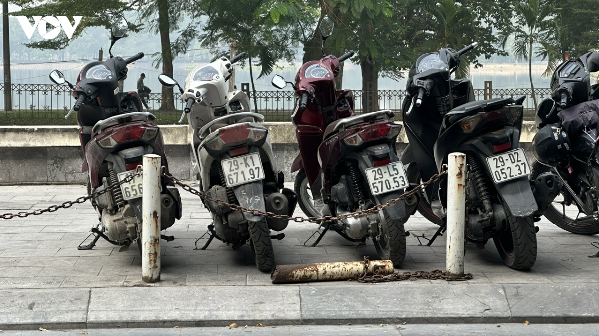 hoan tat ha rao toan bo cong vien thong nhat hinh anh 8