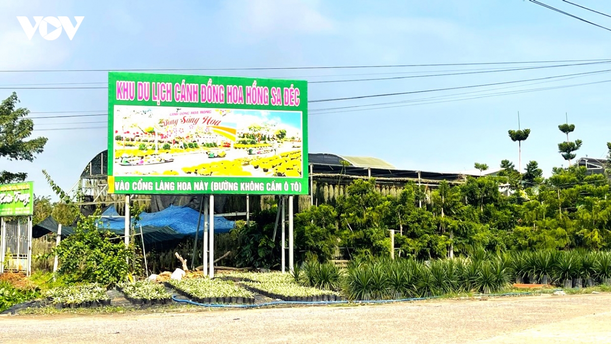hop tac chia se loi ich de hoa kieng sa Dec ngay mot vuon xa hinh anh 2