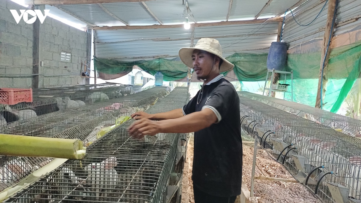 buc tranh tuoi sang o lang cham xa bac binh, tinh lam Dong hinh anh 1