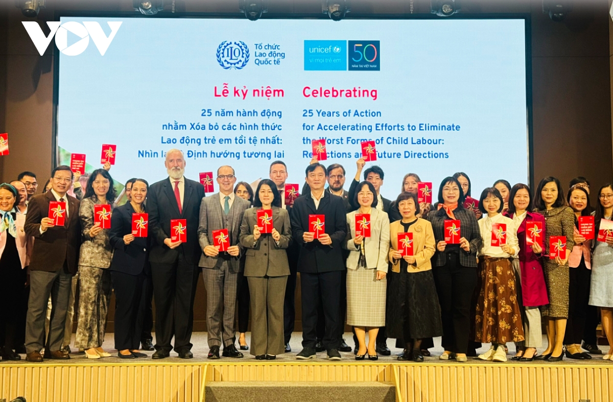int l organisations pledge continued support for vietnam in ending child labour picture 3