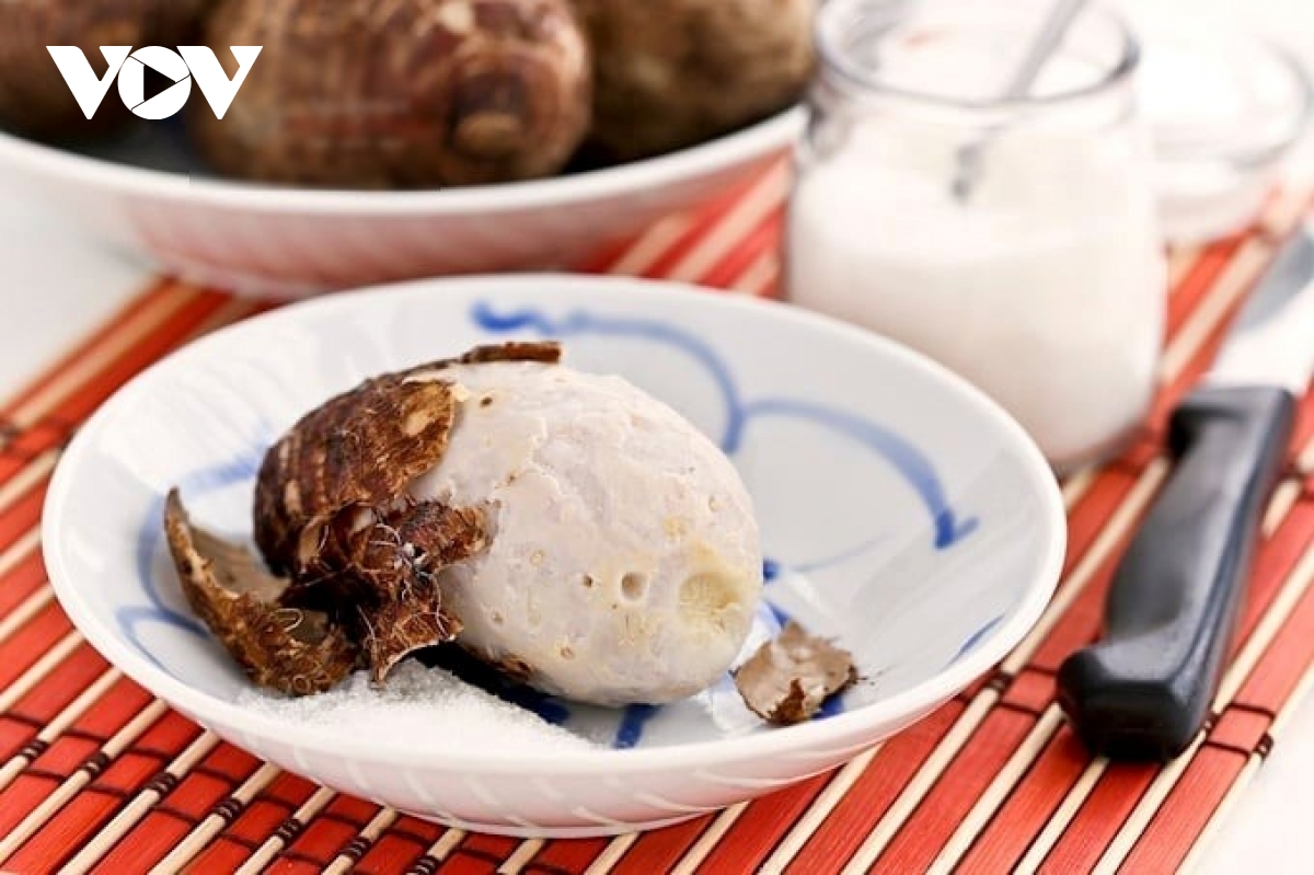 loai cu truong tho cuc san o viet nam, nau duoc du mon, bo tu trong ra ngoai hinh anh 1