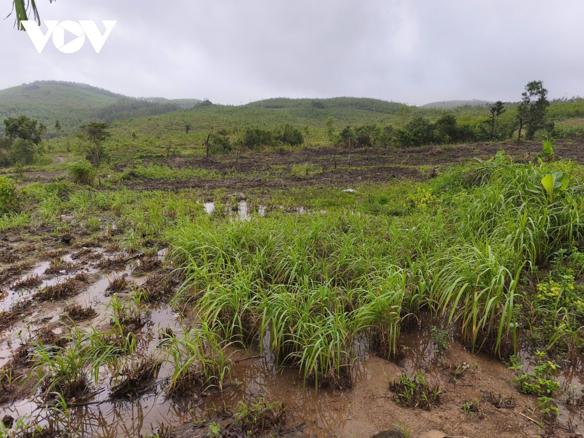 Dak lak day nhanh tai dinh cu 35 ho dan vung sat lo nguy hiem hinh anh 4