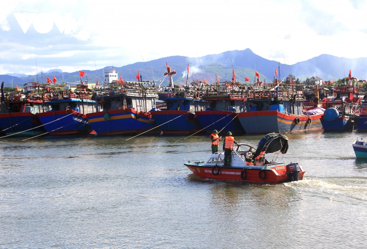 xay dung phan mem nhac nho ngu dan bo sung giay to cho tau ca truoc khi ra khoi hinh anh 3