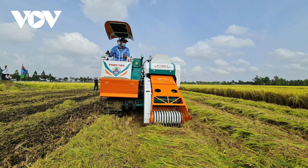 Danh thuc gia tri rom ra trong hanh trinh canh tac lua phat thai thap hinh anh 4