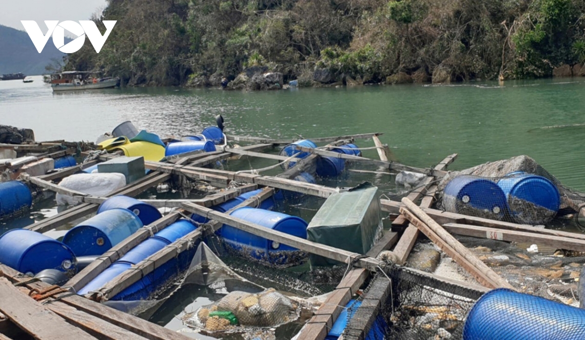 nuoi trong thuy san thich ung voi thien tai hinh anh 1