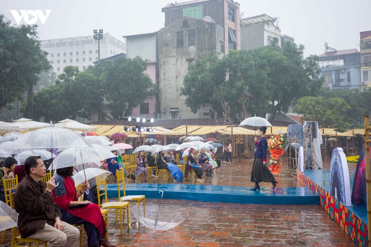sac cham, tho cam mong bung sang giua ha noi hinh anh 23