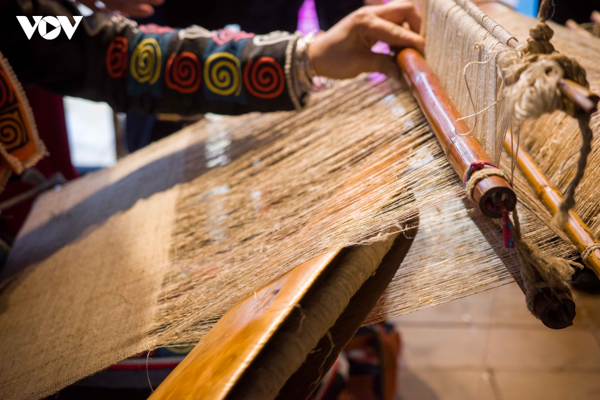 sac cham, tho cam mong bung sang giua ha noi hinh anh 21