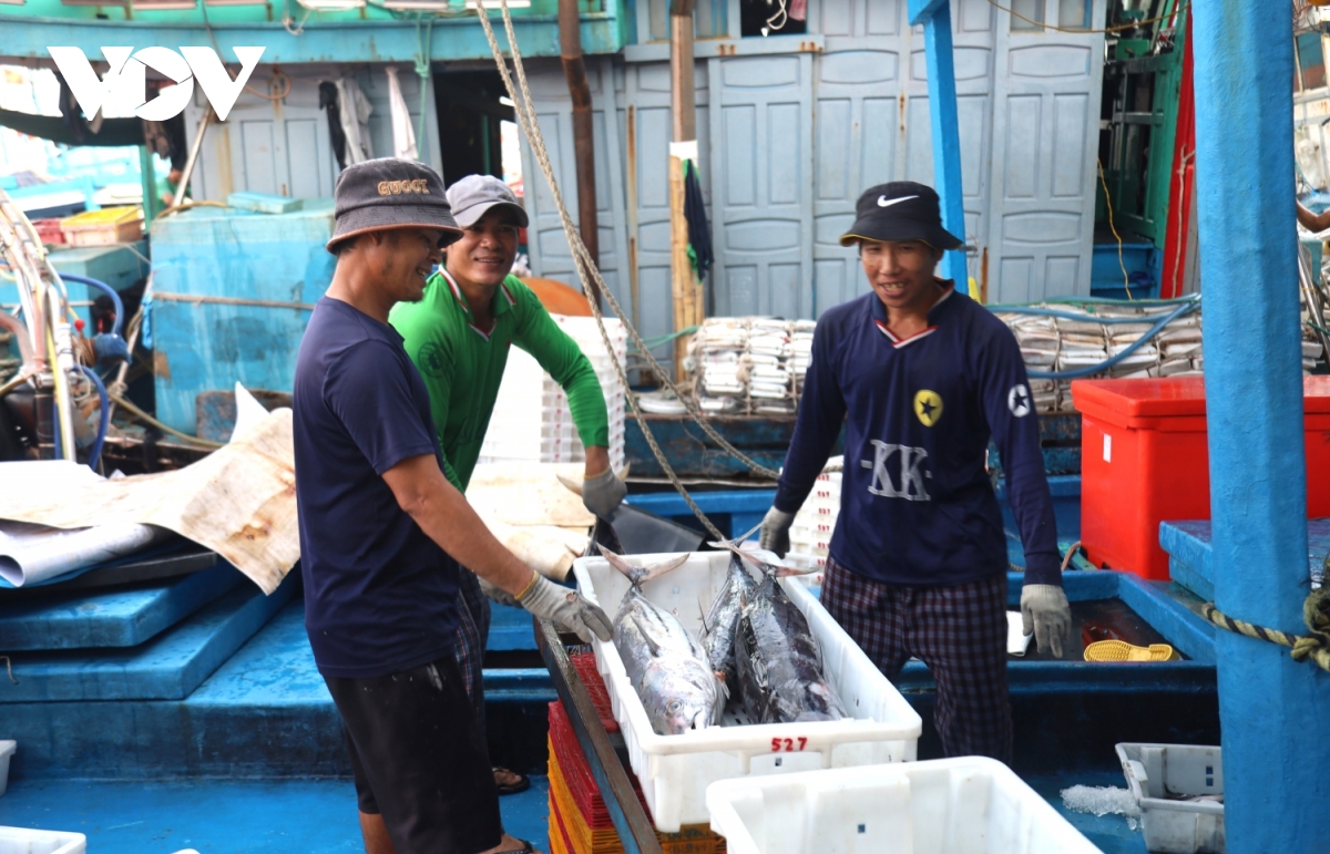 IUU và chuyện sinh tồn của ngư dân