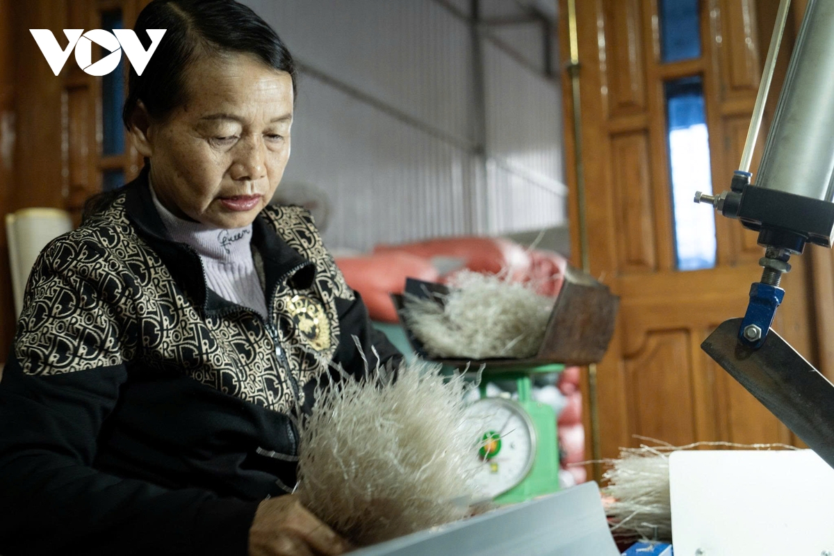 soi dong mua san xuat mien dong binh lu phuc vu tet nguyen dan hinh anh 2