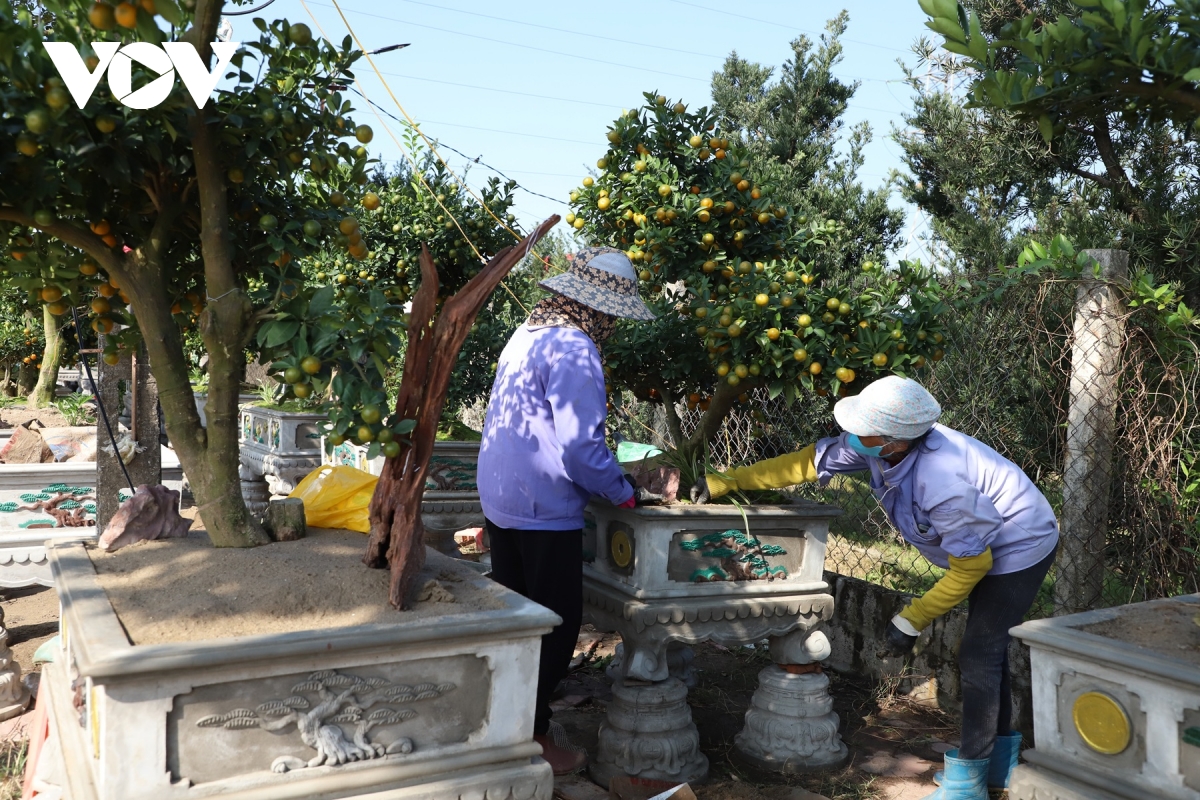 ruc ro sac xuan lang vi khe 800 nam tuoi quat triu qua, dao tham nu doi tet ve hinh anh 14