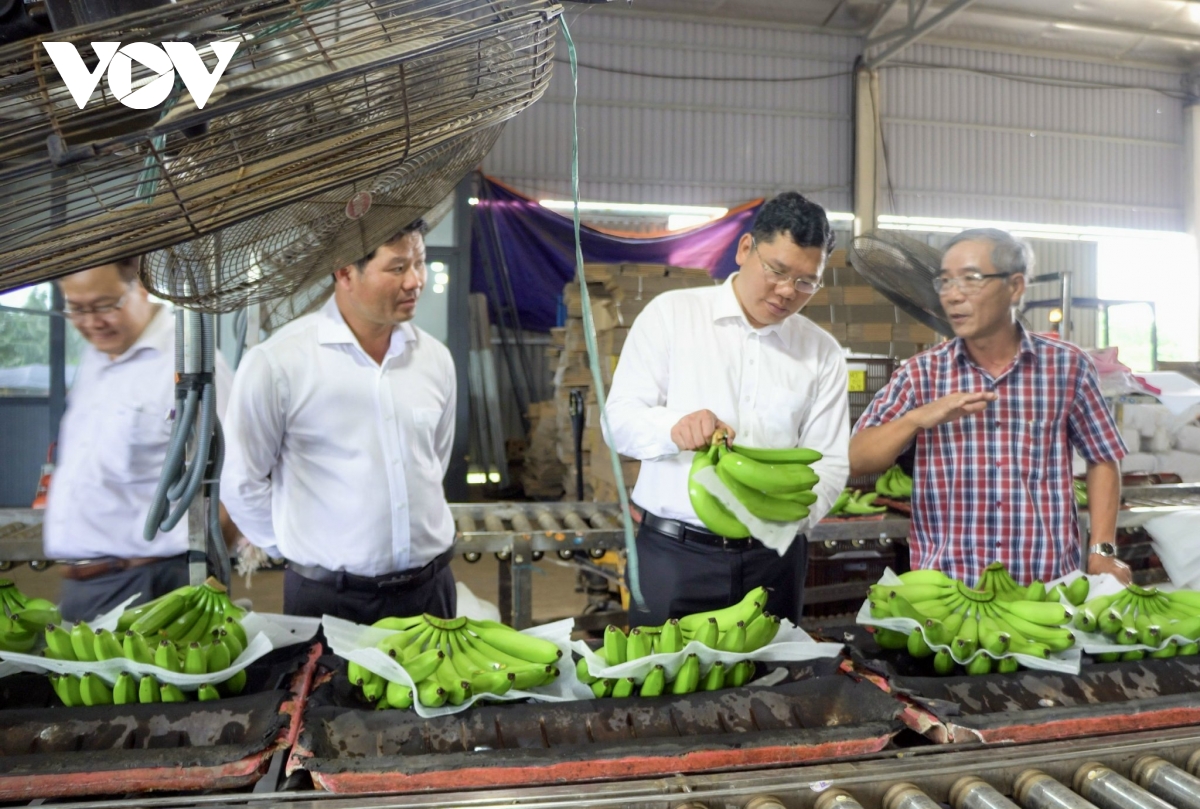 thao go nhieu chinh sach trong lien ket, tieu thu nong san hinh anh 4