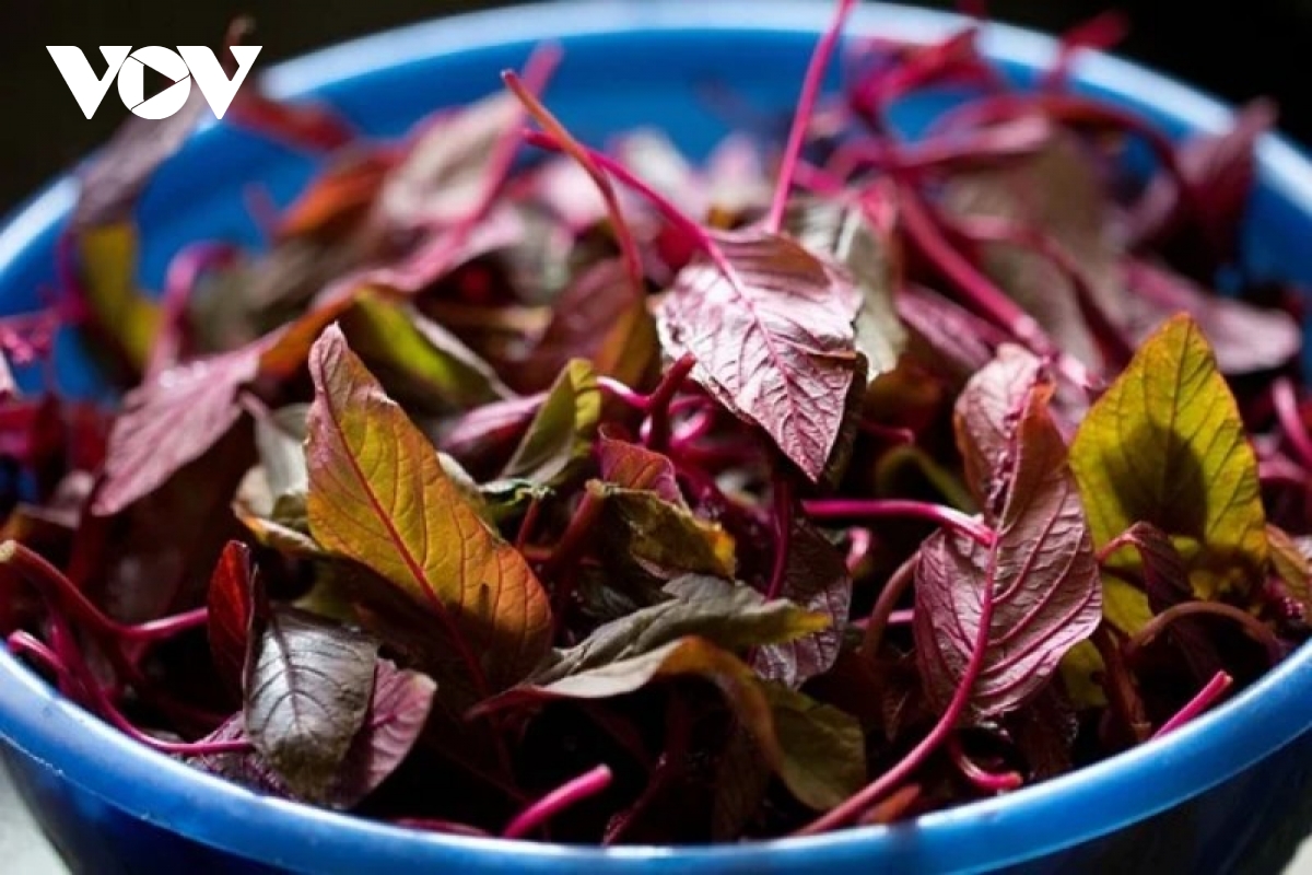 loại rau bổ hơn thịt bò giá vài nghìn một bó, ăn vào sức khỏe càng thăng hạng hình ảnh 1 loai rau bo hon thit bo gia vai nghin mot bo, an vao suc khoe cang thang hang hinh anh 1