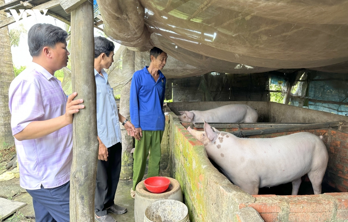 sinh ke chan nuoi giup nguoi dan ca mau giam ngheo ben vung hinh anh 1