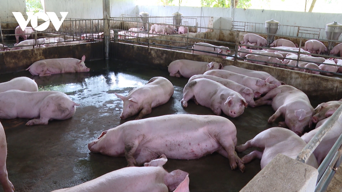 thao go nhieu chinh sach trong lien ket, tieu thu nong san hinh anh 2