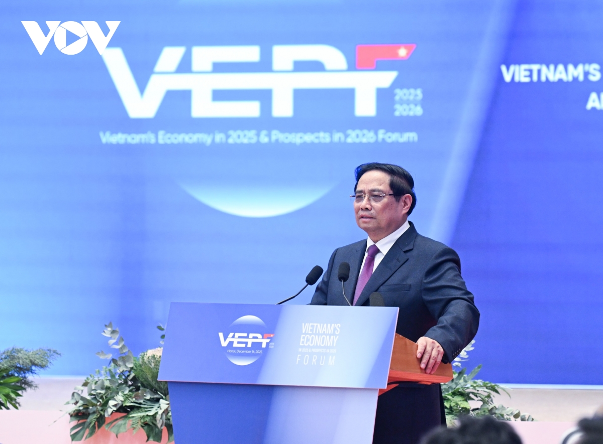 thu tuong kinh te viet nam the hien suc chong chiu kien cuong hinh anh 6