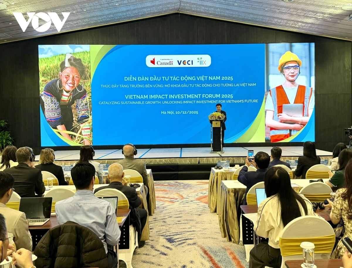 Le Vietnam possède un potentiel immense pour devenir un leader régional de l’investissement à impact. Photo : VOV