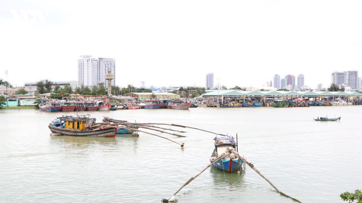hoan thien ha tang nghe ca - mat xich quyet dinh trong chuoi chong khai thac iuu hinh anh 5