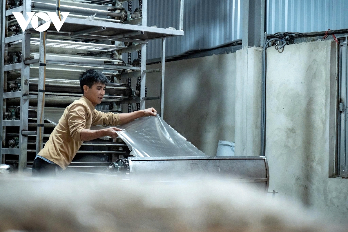 soi dong mua san xuat mien dong binh lu phuc vu tet nguyen dan hinh anh 4