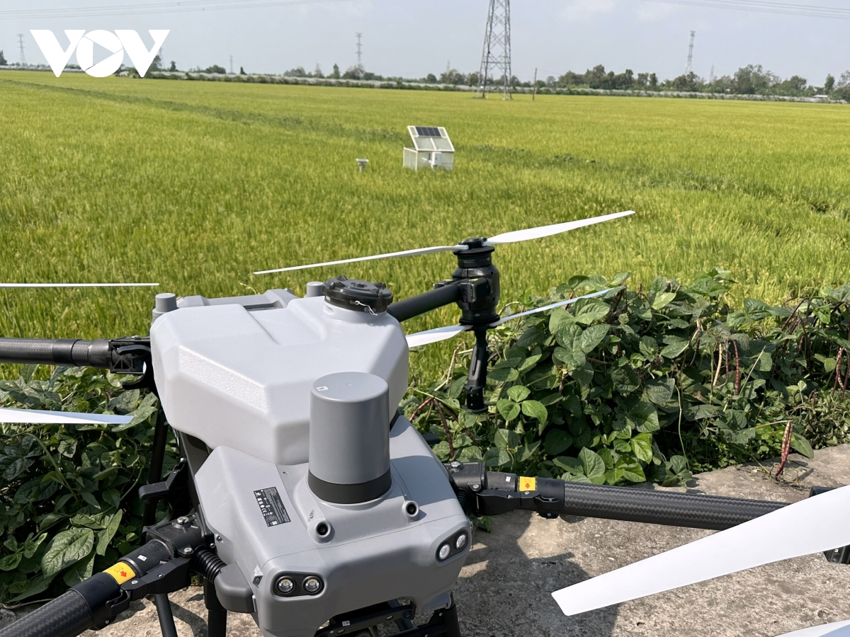 Содействие сотрудничеству между Вьетнамом и Японией в рамках проекта по выращиванию риса на площади 1 миллион гектаров в дельте Меконга (изображение 3)