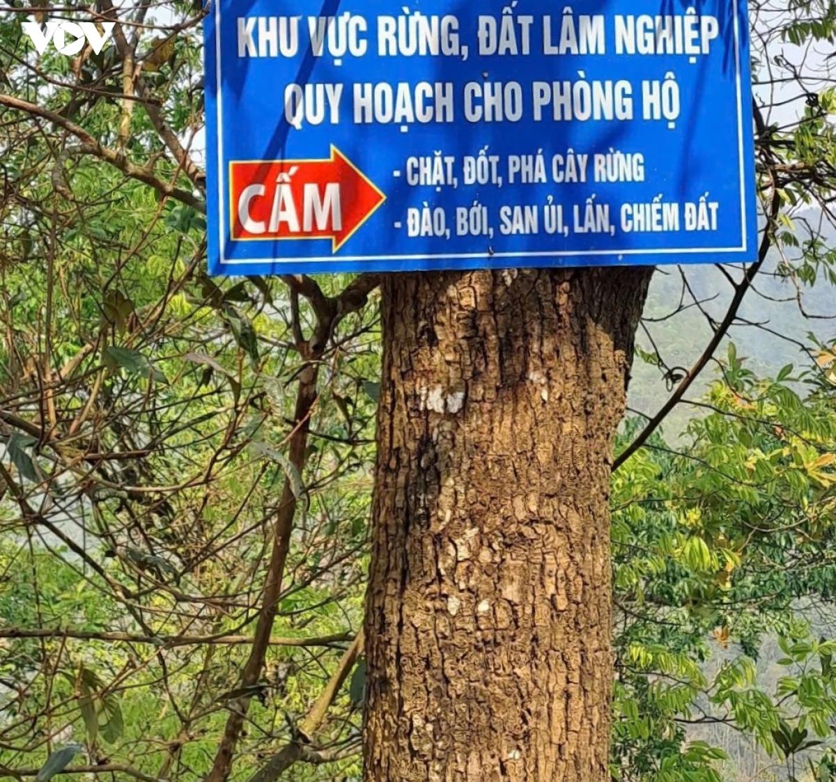 siet chat cong tac phong chong chay rung mua kho hanh tai lao cai hinh anh 4