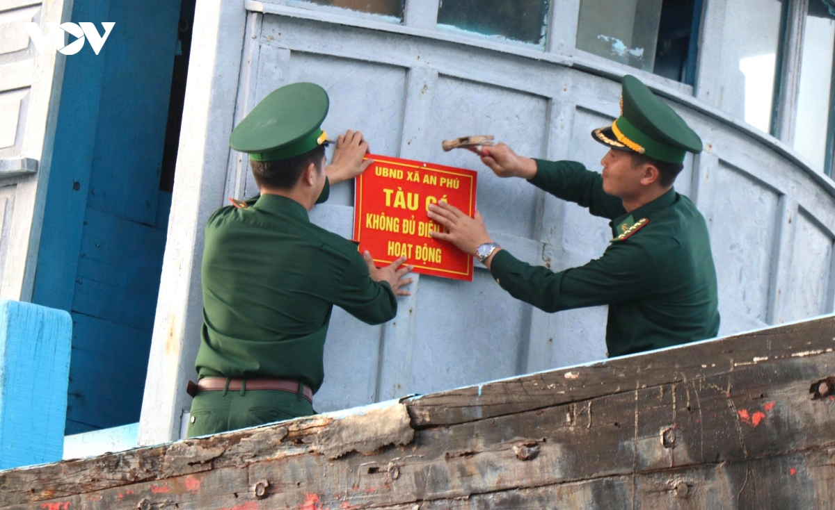 quang ngai siet chat quan ly doi tau khai thac thuy san hinh anh 2