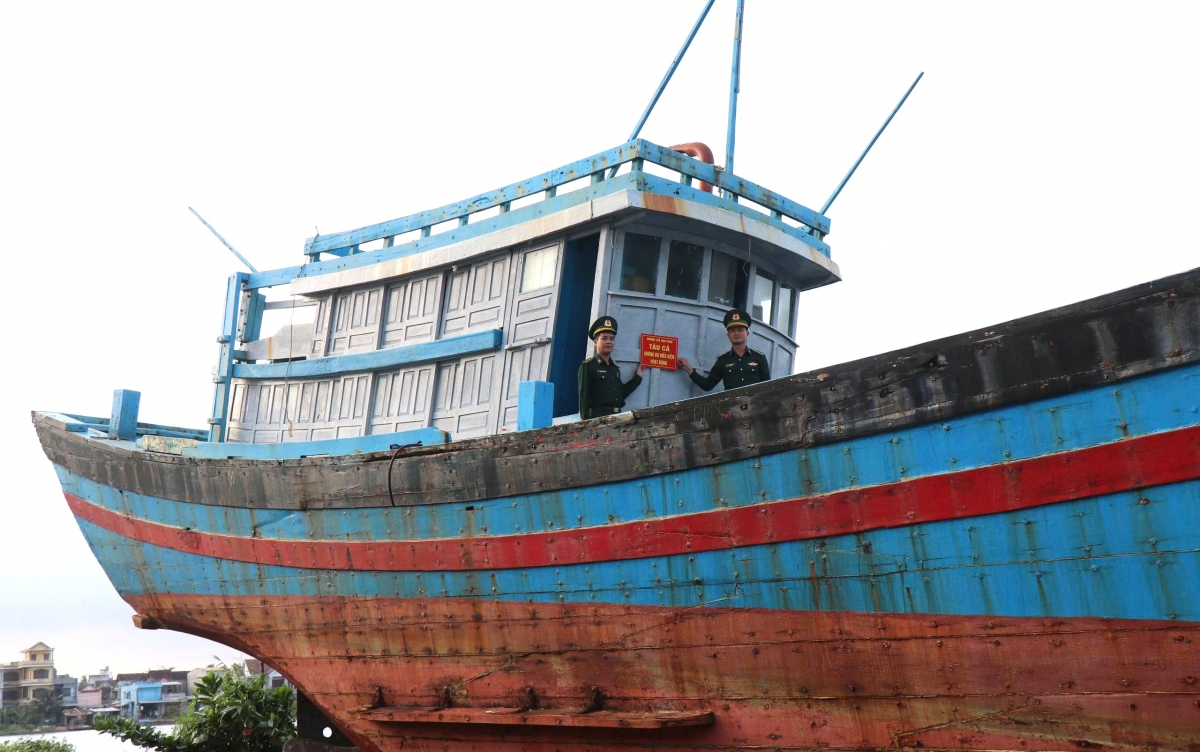 quang ngai siet chat quan ly doi tau khai thac thuy san hinh anh 1