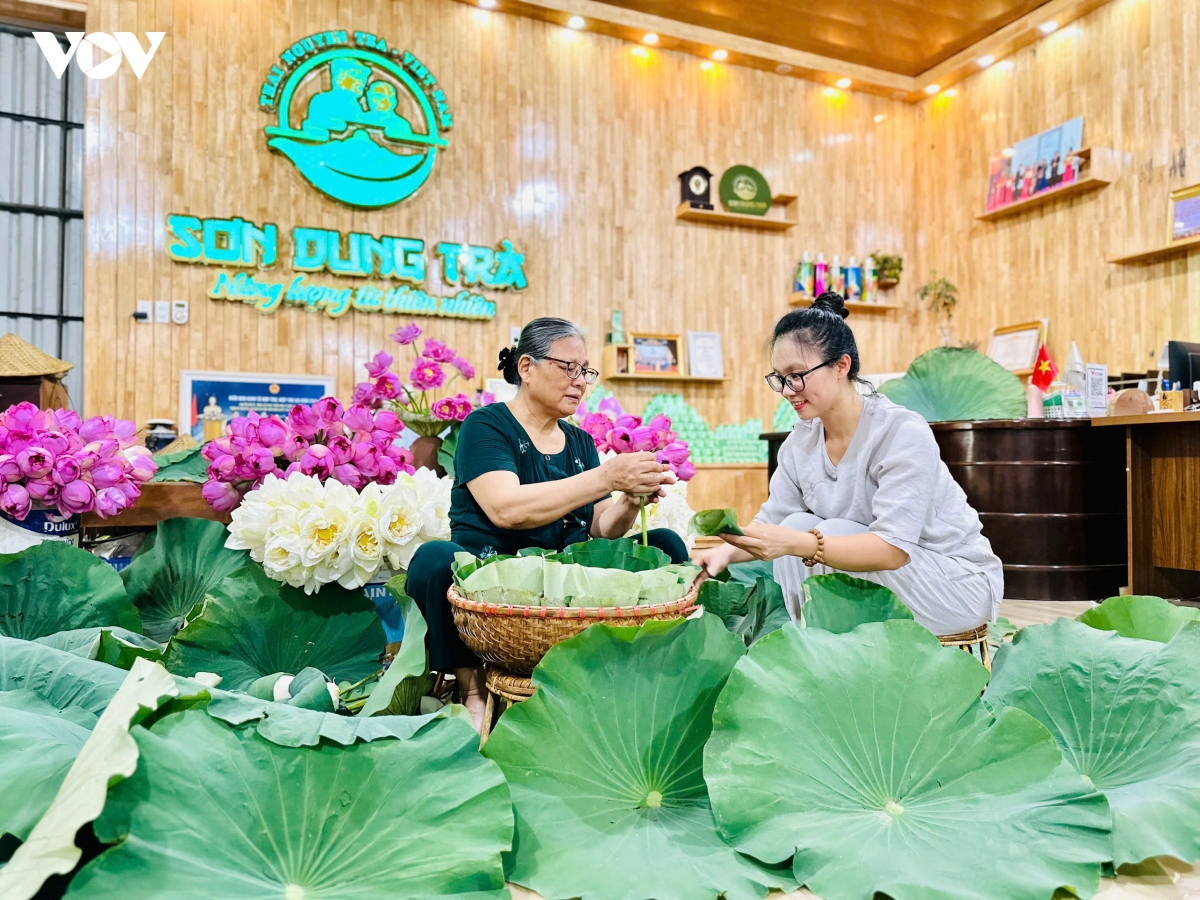 htx tra son dung thai nguyen nang tam ocop voi tra uop hoa thuong hang hinh anh 4