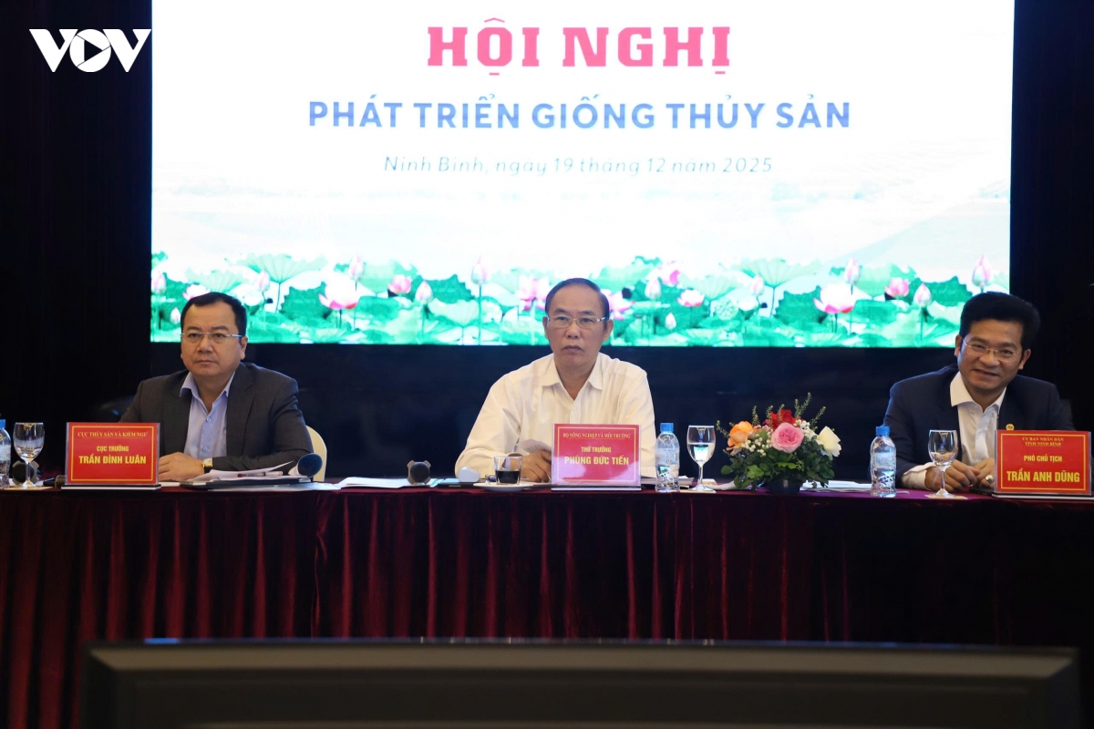 go diem nghen con giong tao da de thuy san lap ky luc moi hinh anh 3