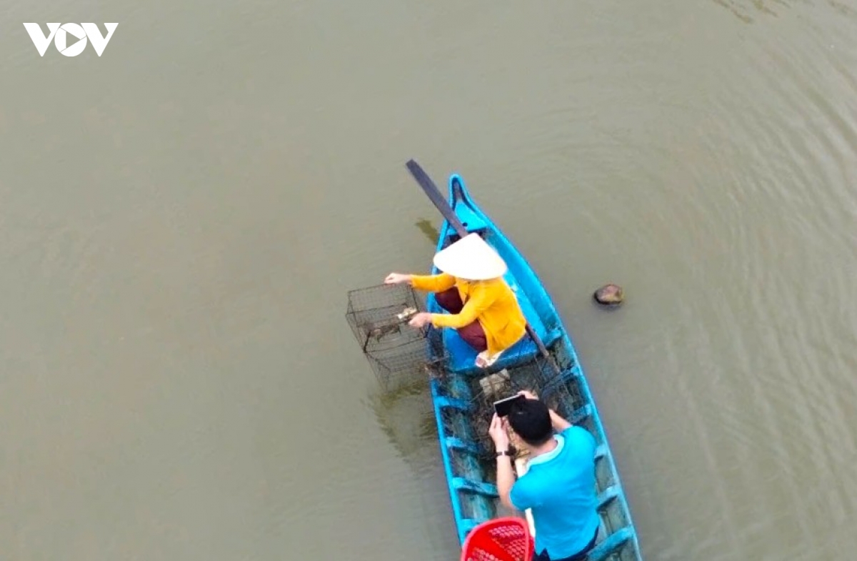 muoi cua xu u minh - Dua huong cua ca mau vuon xa hinh anh 10