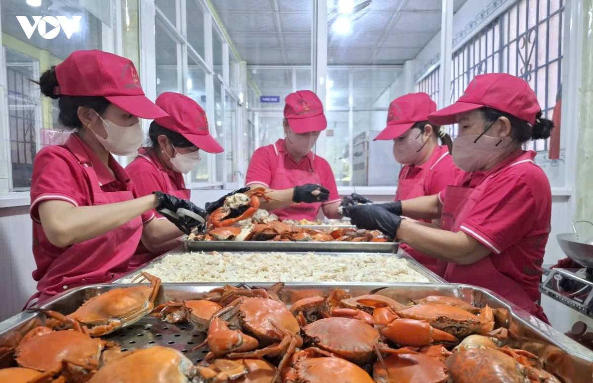 muoi cua xu u minh - Dua huong cua ca mau vuon xa hinh anh 12