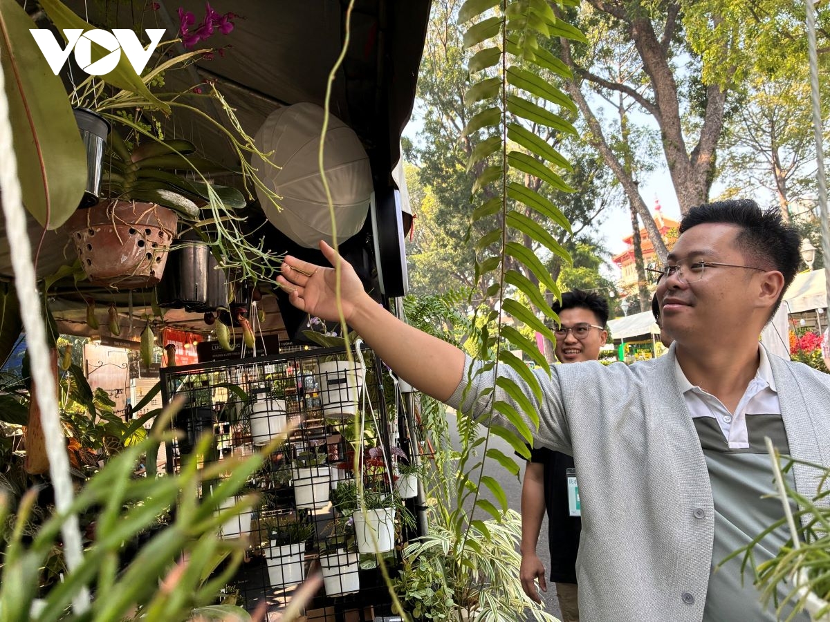  nghe la hoa ke chuyen - khoang lang xanh giua nhip song do thi hinh anh 1