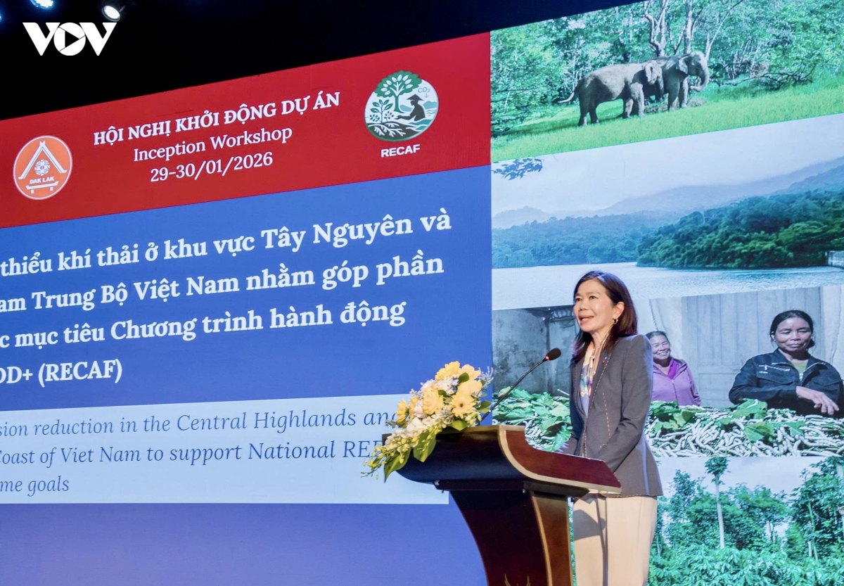 hon 102 trieu usd bao ve rung, nang sinh ke tay nguyen va nam trung bo hinh anh 1