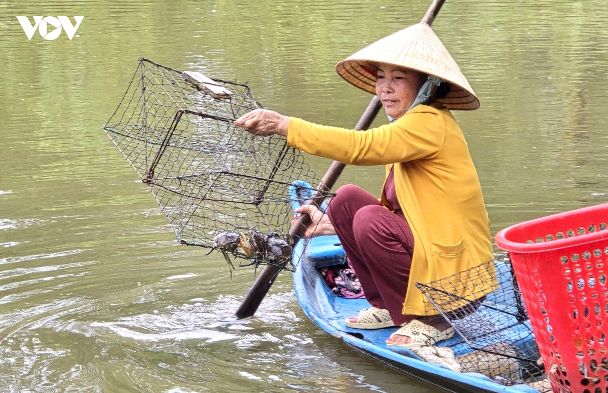 muoi cua xu u minh - Dua huong cua ca mau vuon xa hinh anh 2