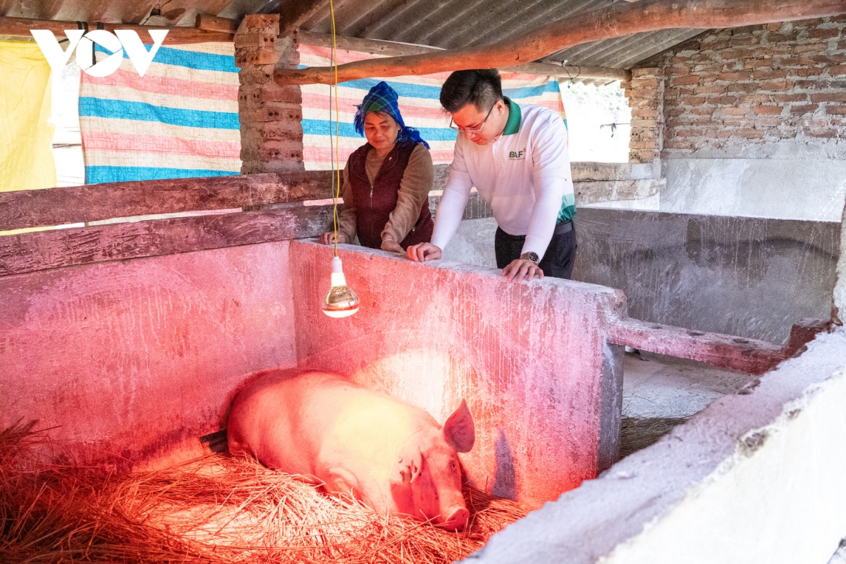 cao bang trao tang kinh phi, tao sinh ke ben vung noi coi nguon cach mang hinh anh 1