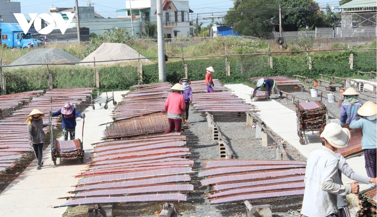 nghe banh trang vung bien lam Dong tat bat hang tet hinh anh 6