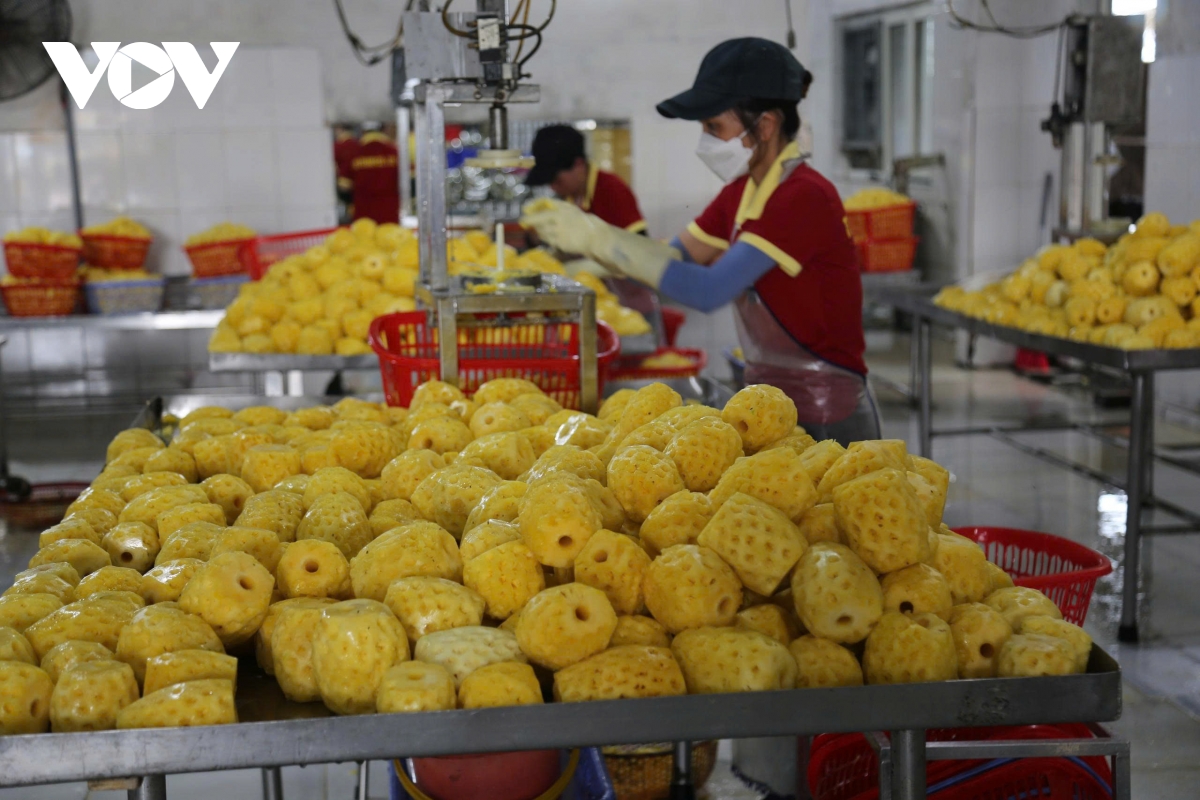 Doanh nhân xứ Thanh kỳ vọng “đột phá của đột phá” từ Đại hội XIV của Đảng