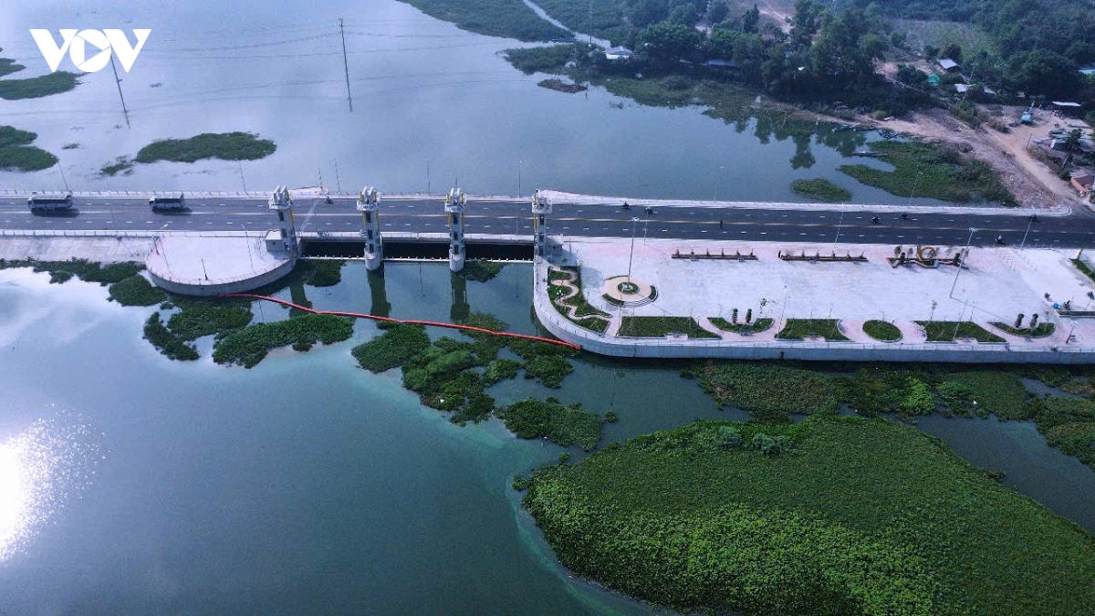 ho thuy loi tha la vao xuan hinh anh 7