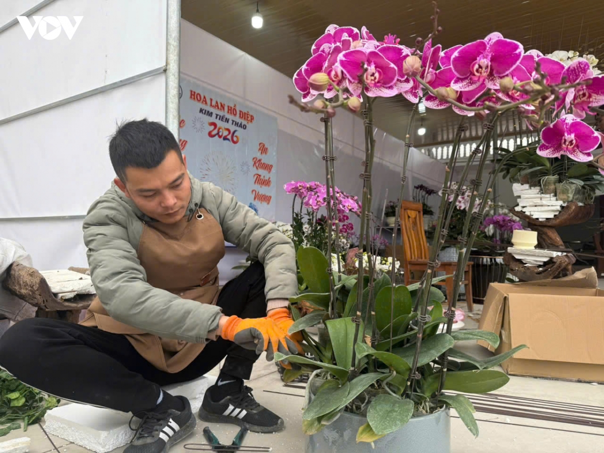 thai nguyen sac xuan tren nhung vuon lan hinh anh 9