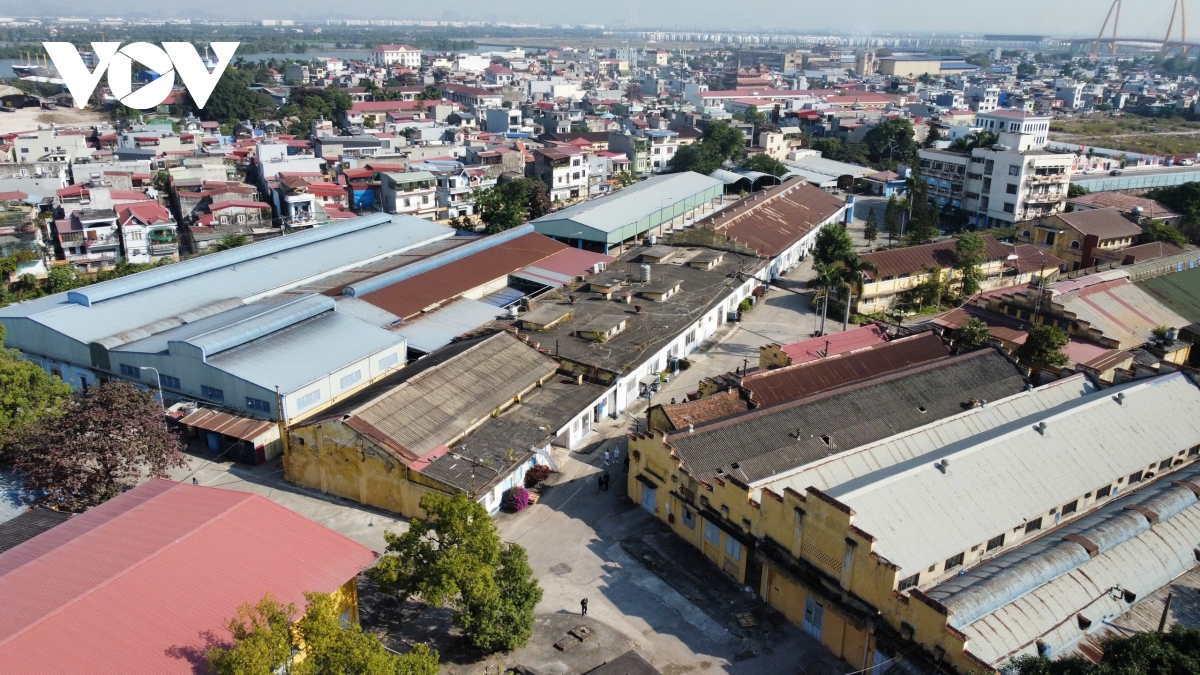 khoi to tong giam doc cong ty cp Do hop ha long hinh anh 1