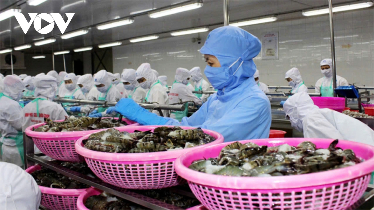 seafood exports surpass us 11 billion in 2025 picture 1