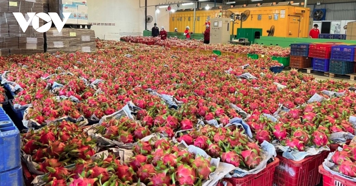 Agro-forestry-fishery exports target US$73-74 billion in 2026