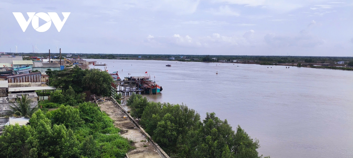 ca mau dau tu 480 ty dong xay ke chong sat lo bo song ganh hao hinh anh 1