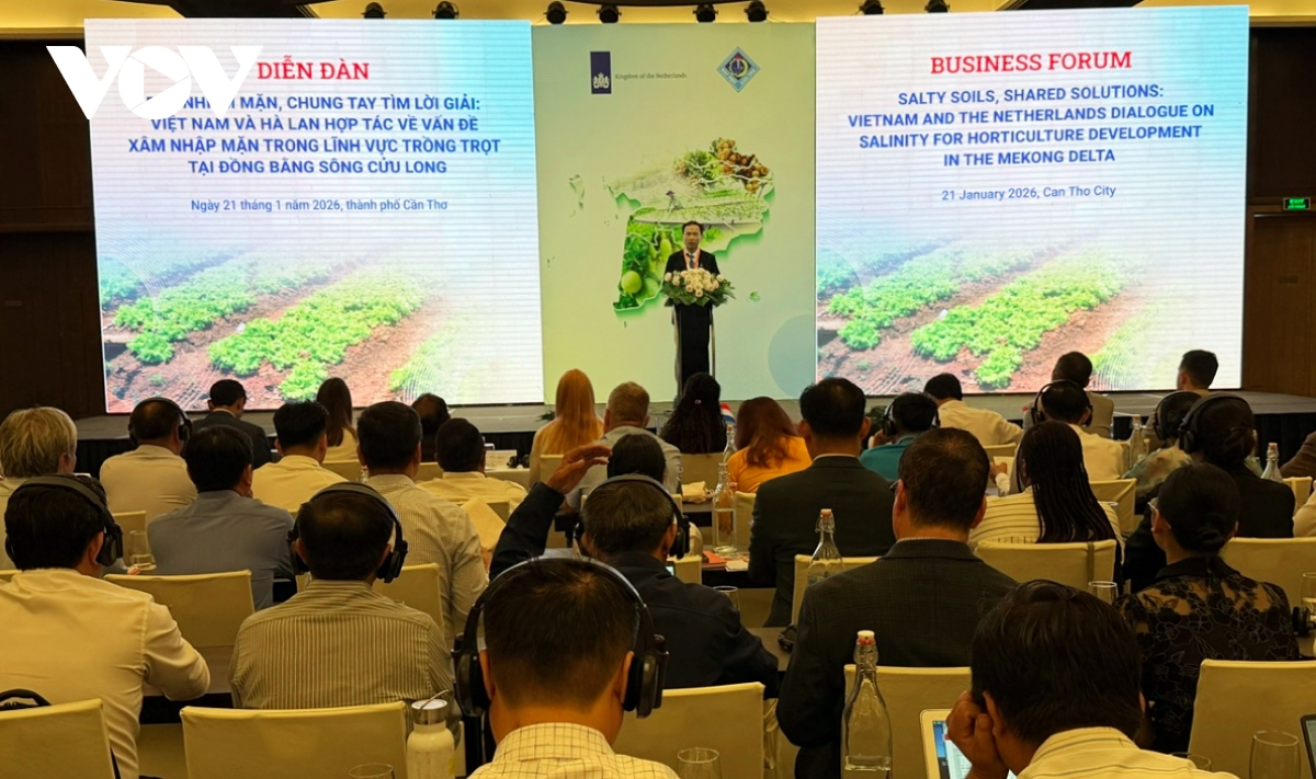 vietnam and netherlands address salinity intrusion in mekong delta picture 1