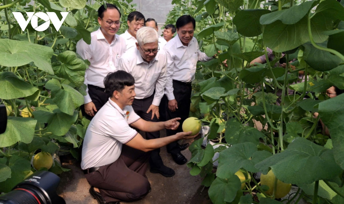 ahead of party congress, farmers call for looser rules to unlock agricultural growth picture 3