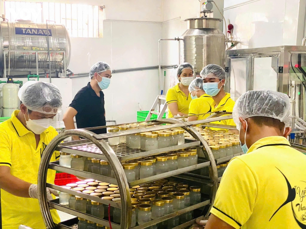 thanh hoa buoc vao xuan moi voi khat vong phat trien nhanh va ben vung hinh anh 3