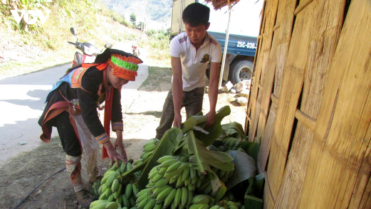 Doi thay o nhung ban ngheo noi phen giau hinh anh 3