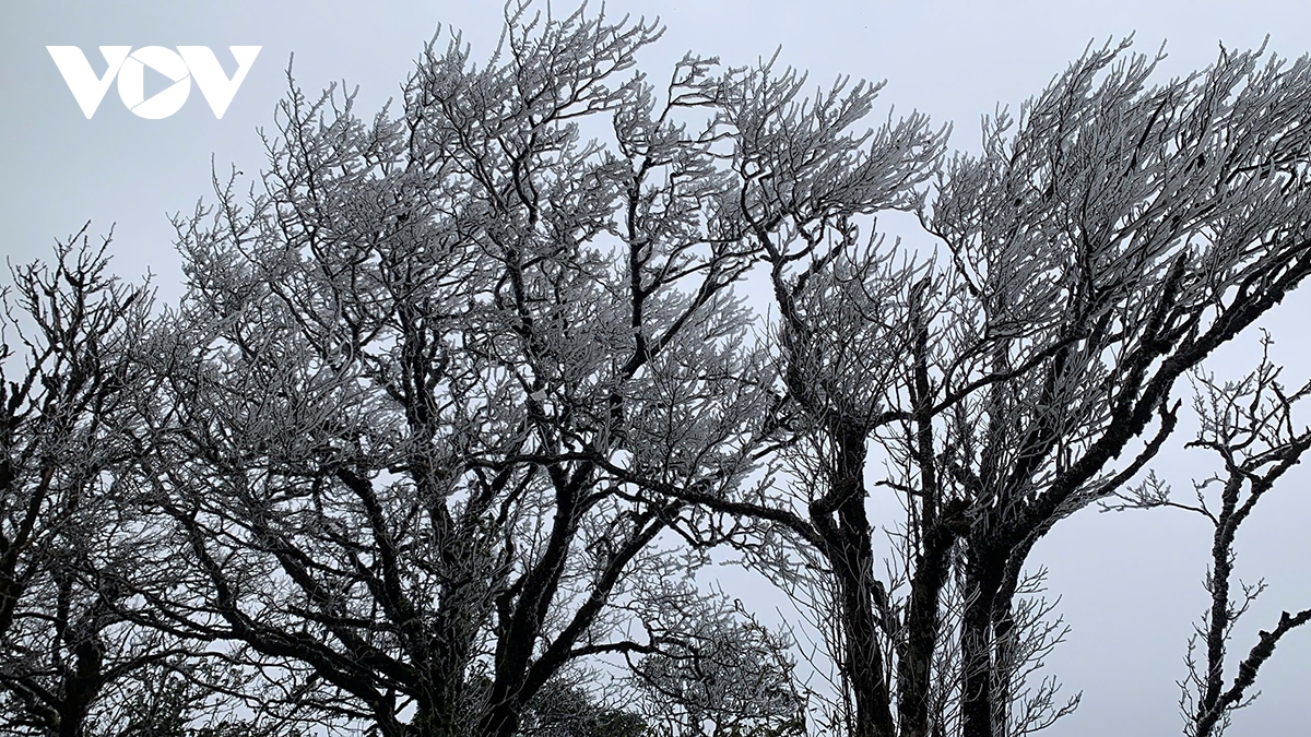 Băng giá xuất hiện trên đỉnh Phia Oắc, Cao Bằng